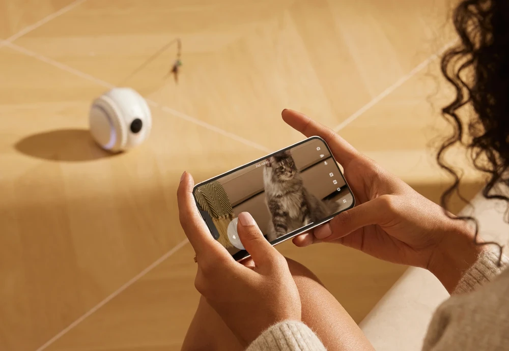 best in home cameras for pets